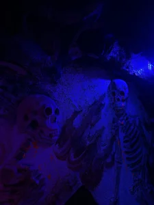 Ivon_DiazのVietnam 2025の 6枚の写真