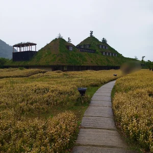 --MIYUKIPublic图片 3