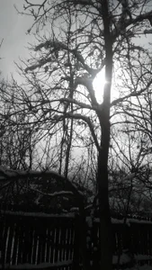 ExquisiteMature Winter Sun Poză 2