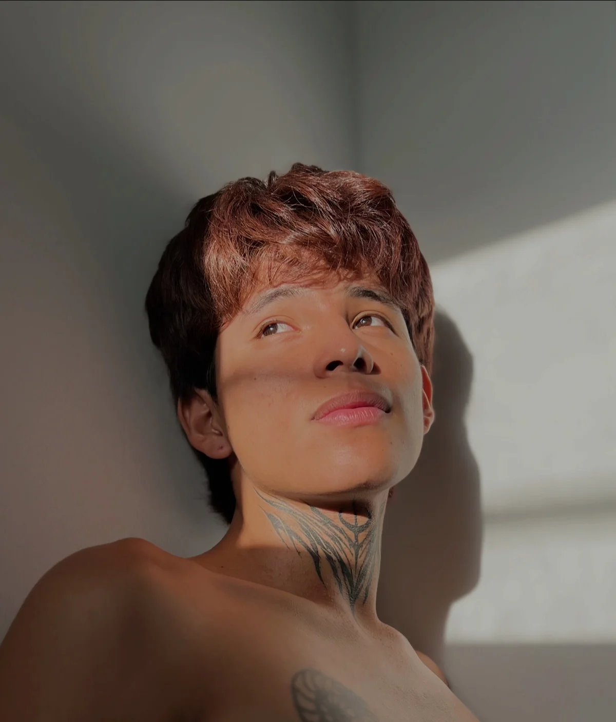 Трендове зображення  7759 bellamy_095