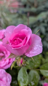Bo0g: Nature photography ( 2 фото)