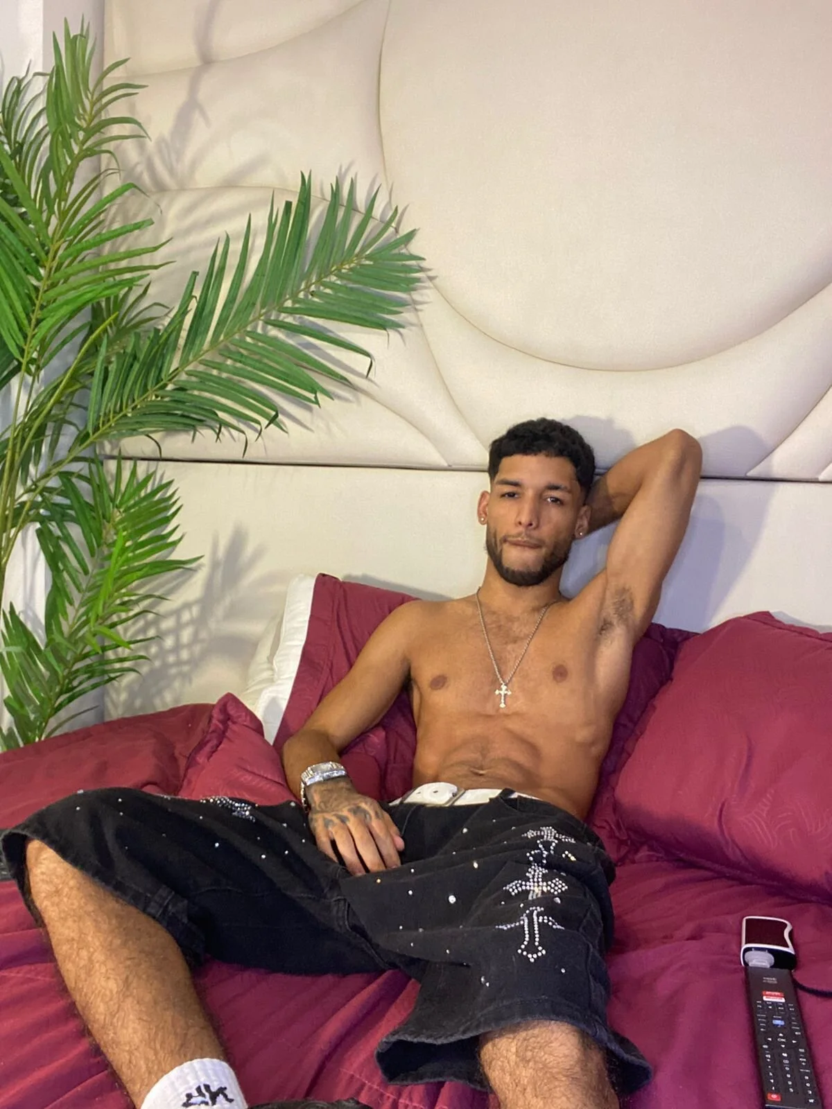 Thiagoferreti избранные и зображения 7033