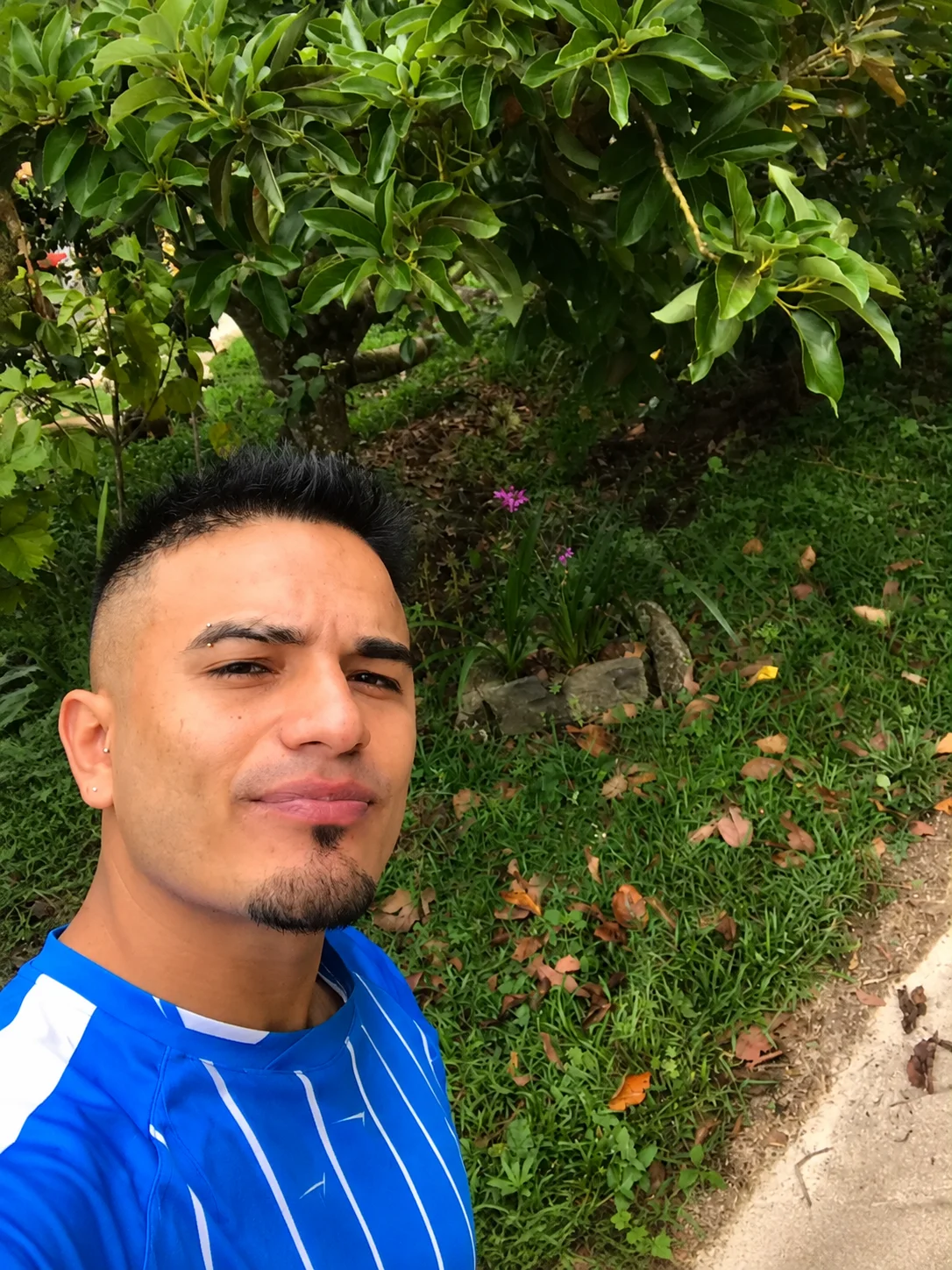 diegocr__ Trendy obrázky 7655