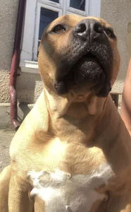 sofiah_ my loves :) Fotka 9