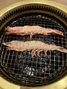 Mafuyu_0x0 Public Pic 2