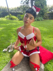 Matt_Swett Merry christmas Poză 4