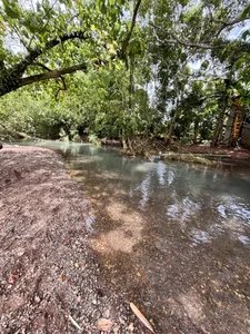 Ressythersty Public Foto 2