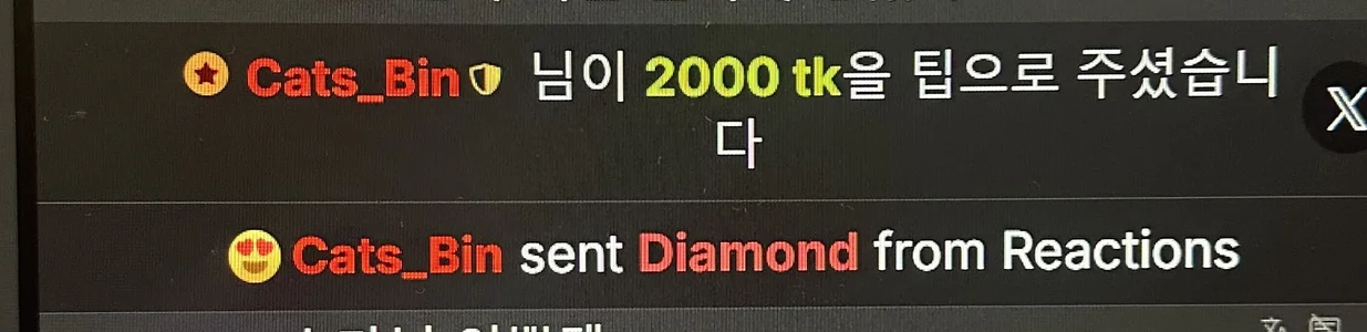 내 사랑둥이들 ❤️❤️❤️ od Kor_Cat  3 snímek