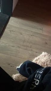 Playfullduo61 Public รูป  5