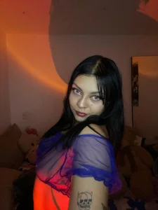 Public de Catsucker  9 Imagens