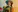 SaraSwan's photo