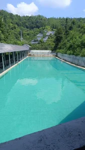 Xiaoxiao-258 大泳池 Pic