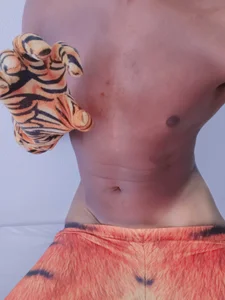 Tanned_tiger1 Public Bilde