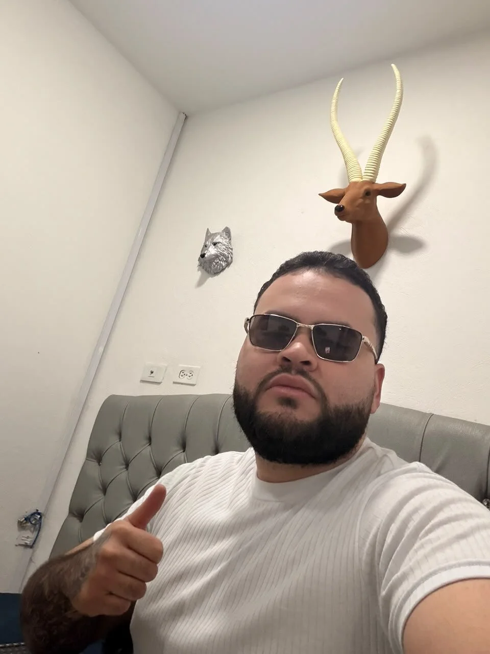 Enzo_WIld Populært bilde 4457