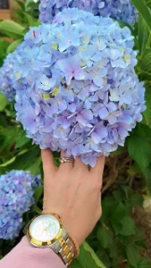 Zdjęcia MariaPau_83 I love my freedom 💜🍃🌷:  7