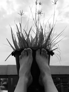 RiderFloor Public Foto 5