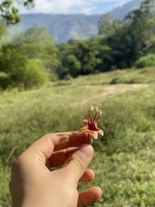 My pictures od unapollogetic  2 snímek