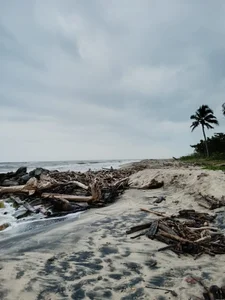 santa marta colombia de sophiahunt286  3 Imagens