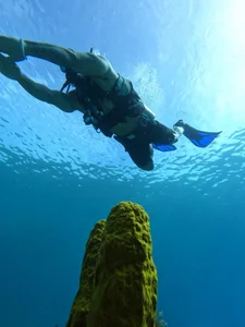 Andrew_Johnnson Mar Εικόνα 9