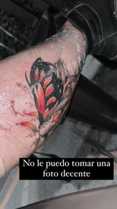 Celeste_Bauman Public Pic