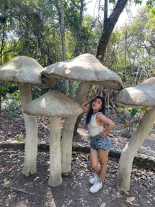 hancock-boa Jardin botánico Bilde 5