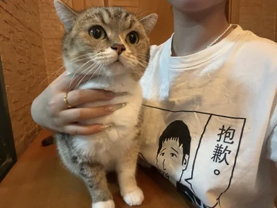 -sanhuamao- 家庭成员 Pic 4