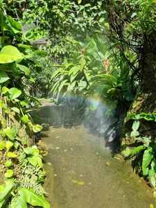 Ivanna_Diamon Zoo! i love it 😍 Pic 9