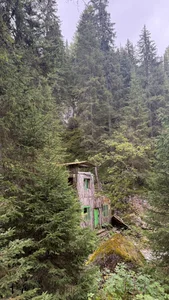 TheMaddisonShow_ 🌲🪨🍃 Pic 6