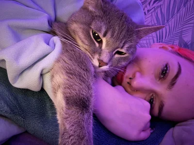 SashaMeow My kitty’s ❤️ Foto 9