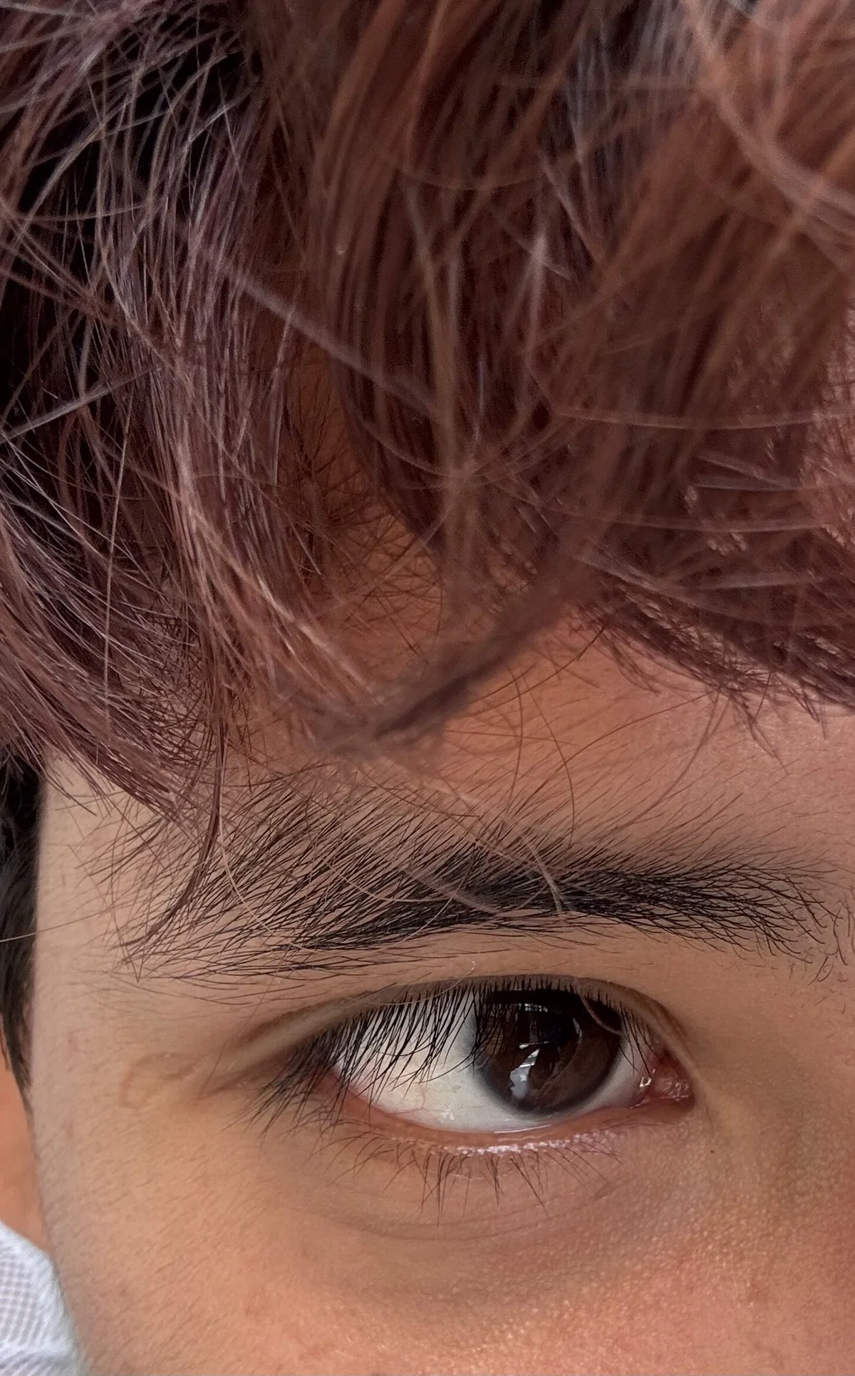 Foto  1007 de bellamy_095 – em alta