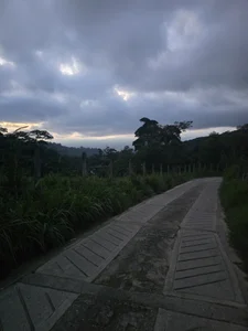 Sairy_ Special Moments ♥️ Bilde 3