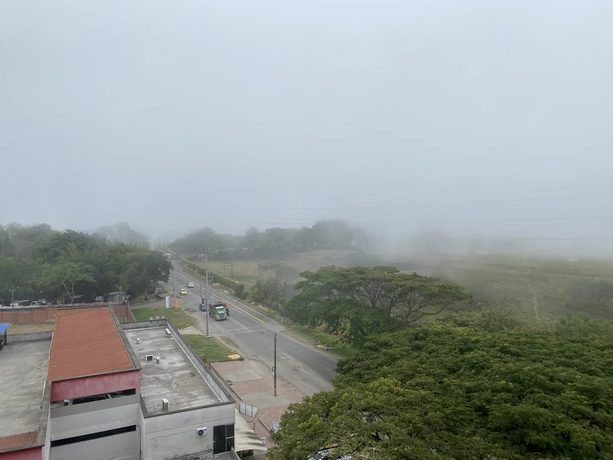 ภาพที่กำลังนิยมของ PaleVibes  5410