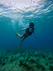 yess__daddy1 kullanıcısının SAN ANDRES-COLOMBIA albümü -  8 fotoğraf