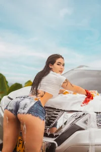 Nicorobinn washing cars 💧 Εικόνα 3