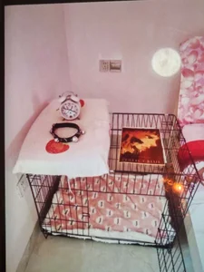 kabogire-555 sm资深玩家 Pic