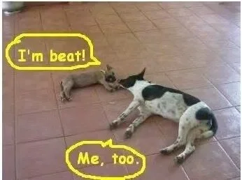 HK_angelchloe Public зображення 2