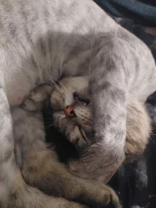 Public de MelissaMays  7 photos