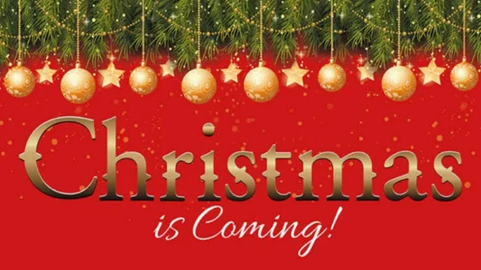 letiziia_sky1 Christmas is coming ☃️🎀 Immagine 