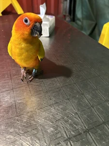 Qrooo 😘  4. fénykép