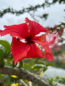 MistyBarnesvacation Bild 3