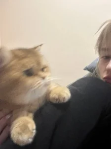 MerlinMeyer: 🤍 ( 3 фото)