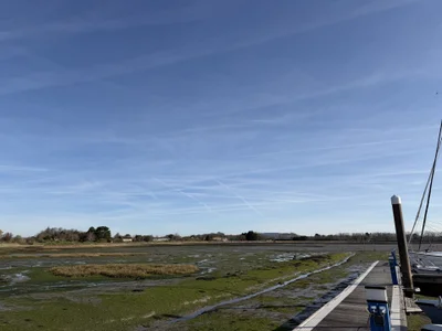 dadbod21 Public зображення