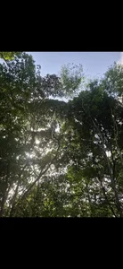 LecheDeTuMicha AAAAA Pic