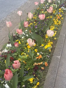 mii__tanのPublicの 5枚の写真