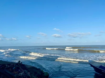 _AryCoral555 Public Pic 2