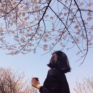 Kae_Jp's photo