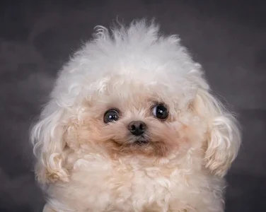 MilkyBunny Public Immagine  3