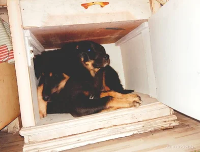 DADDY-SIN Public Pic 5