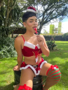 Matt_Swett Merry christmas Poză 5