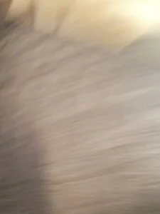 Bigdave172Public Bild 2